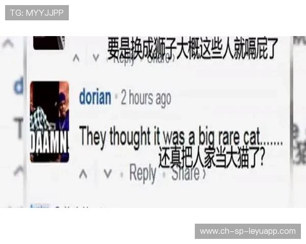 吉村真晴回台反抽命中边线